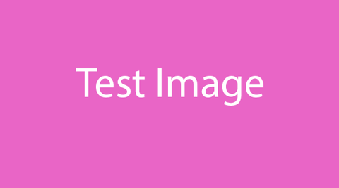 Test Collection
