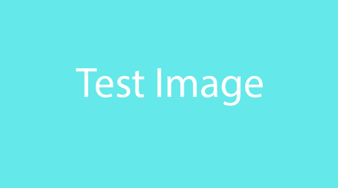 Test Product Five